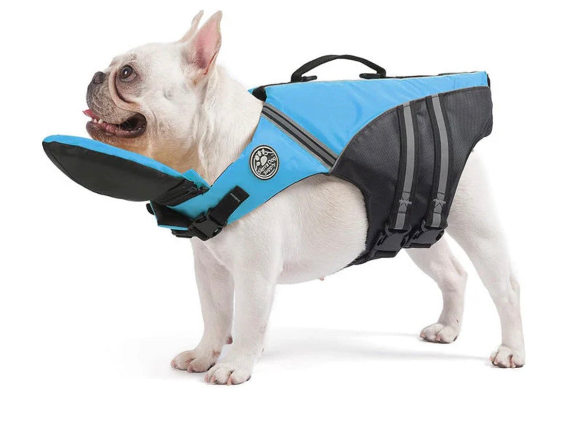 FloatiePaws