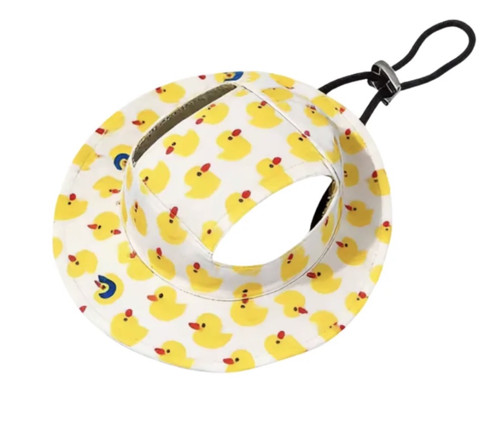 FloatiePaws Hat