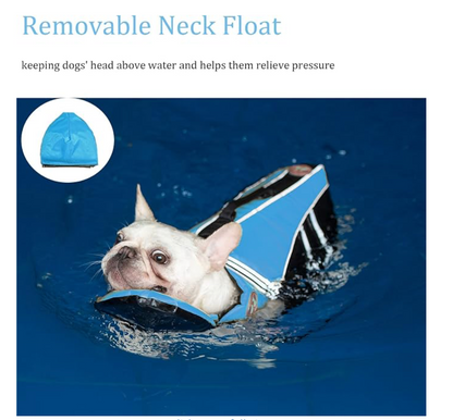 FloatiePaws