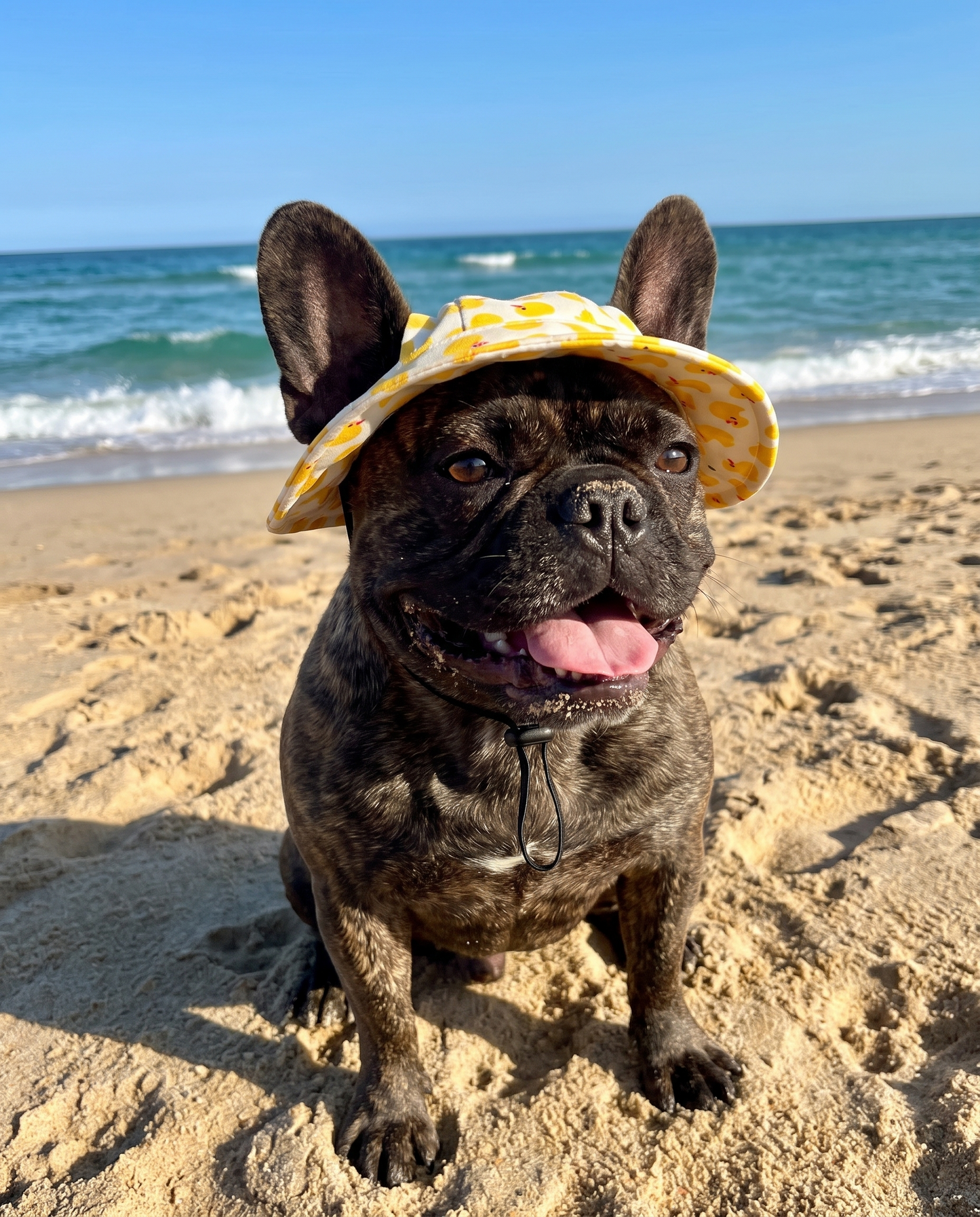 FloatiePaws Hat