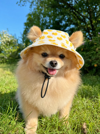 FloatiePaws Hat