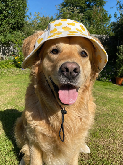 FloatiePaws Hat