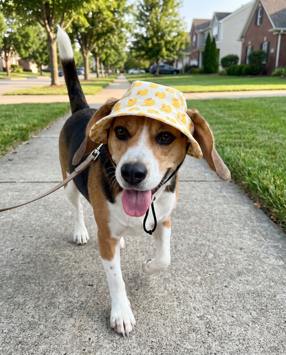 FloatiePaws Hat